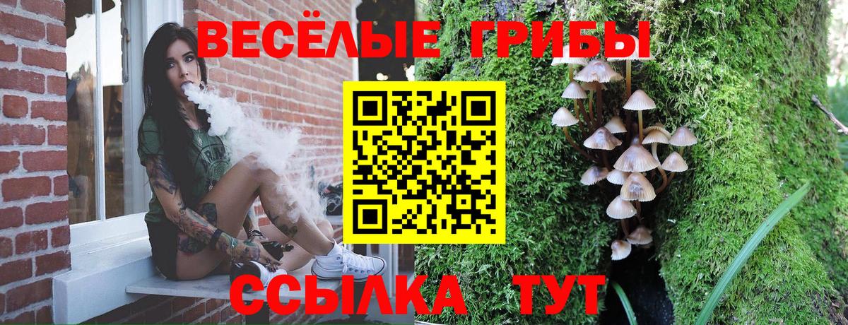 Сорочинск  Галлюциногенные грибы Magic Shrooms  Галлюциногенные грибы Magic Shrooms  Вход с VPN 